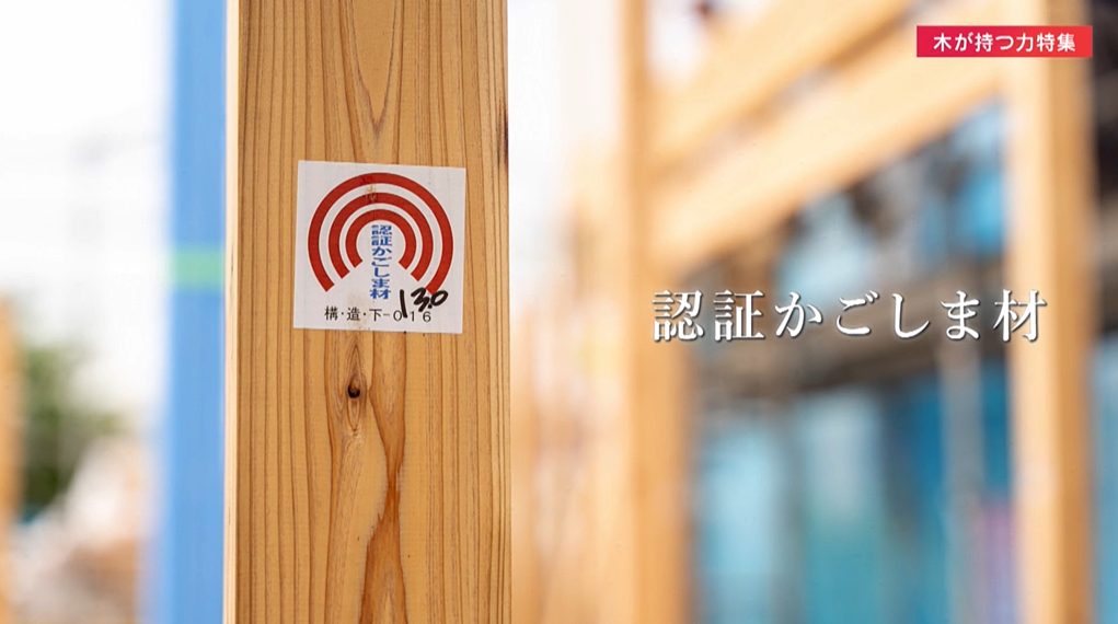 木が持つ力特集