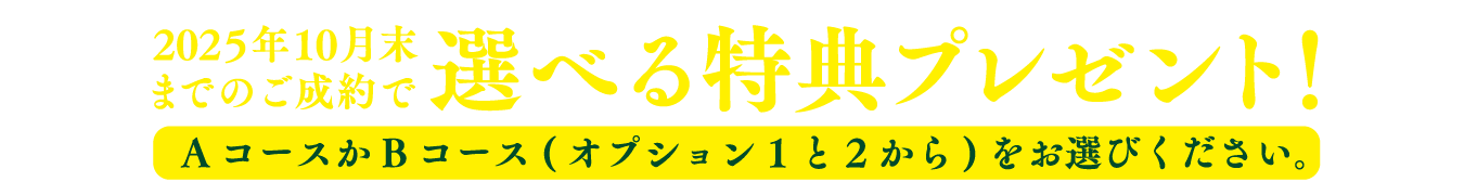 2025年10月末までのご成約で選べる特典プレゼント!AコースかBコース(オプション1と2から)をお選びください。