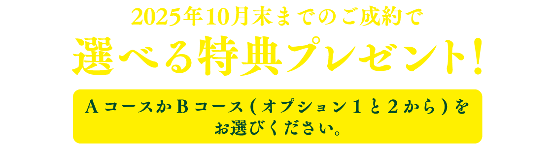 2025年10月末までのご成約で選べる特典プレゼント!AコースかBコース(オプション1と2から)をお選びください。