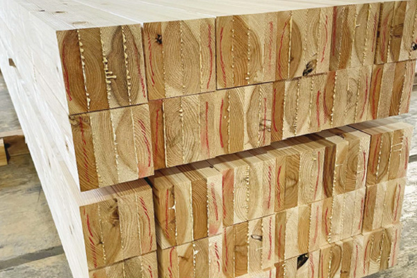 この土地にあるものを、この土地の未来に使う「地域産材